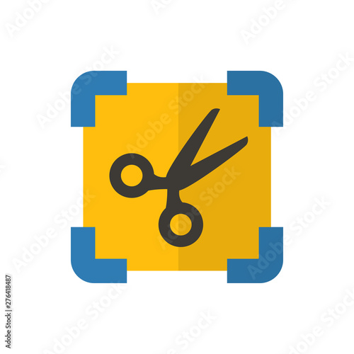 screenshot flat vector icon
