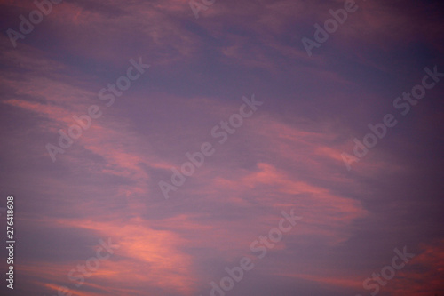 sub tropical skies background