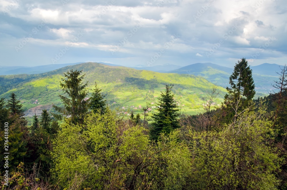 Fototapeta premium Beautiful spring green landscape. View of the beautifully lit green hill.