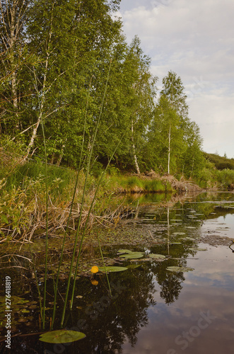 lake in forest