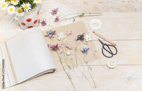 Process of making herbarium. Dried herbs and dried flowers for making herbarium photo