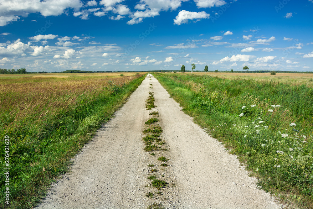 Gravel road through a meadows and white clouds on a blue sky, view on a sunny day