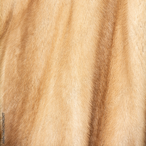 The texture of natural spotted red and beige and brown fur with beautiful folds