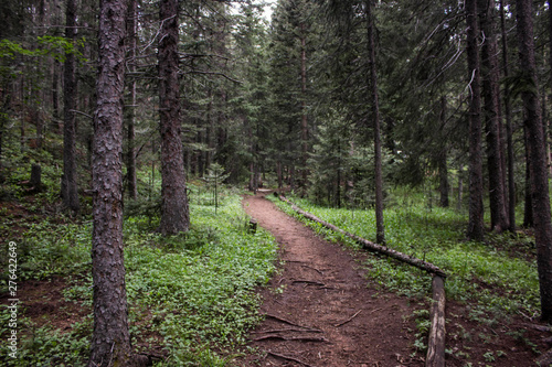 mountain trail