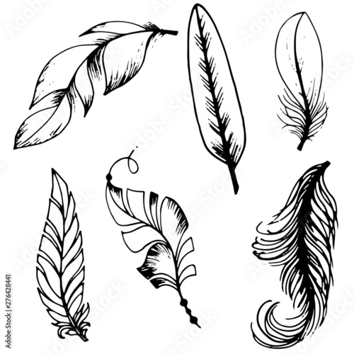 A set of stylized feathers in black