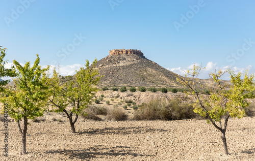landscape with a view of sierra Espuna, province of Murcia, Spain photo