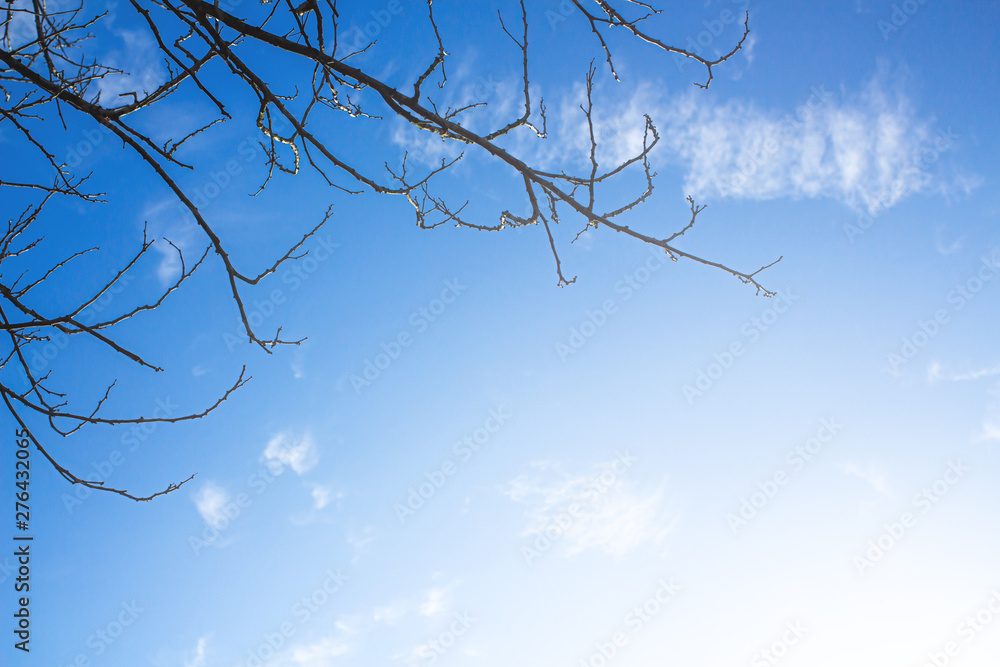 Blue sky with cloud with tree branch at Phuket Thailand. Blue sky with cloud with tree branch at Phuket Thailand.