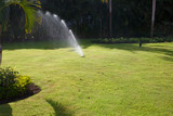 Well-groomed grass lawn irrigated with water jets