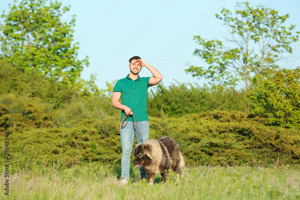Young man walking his Caucasian Shepherd dog in park Young man walking his Caucasian Shepherd dog in park
