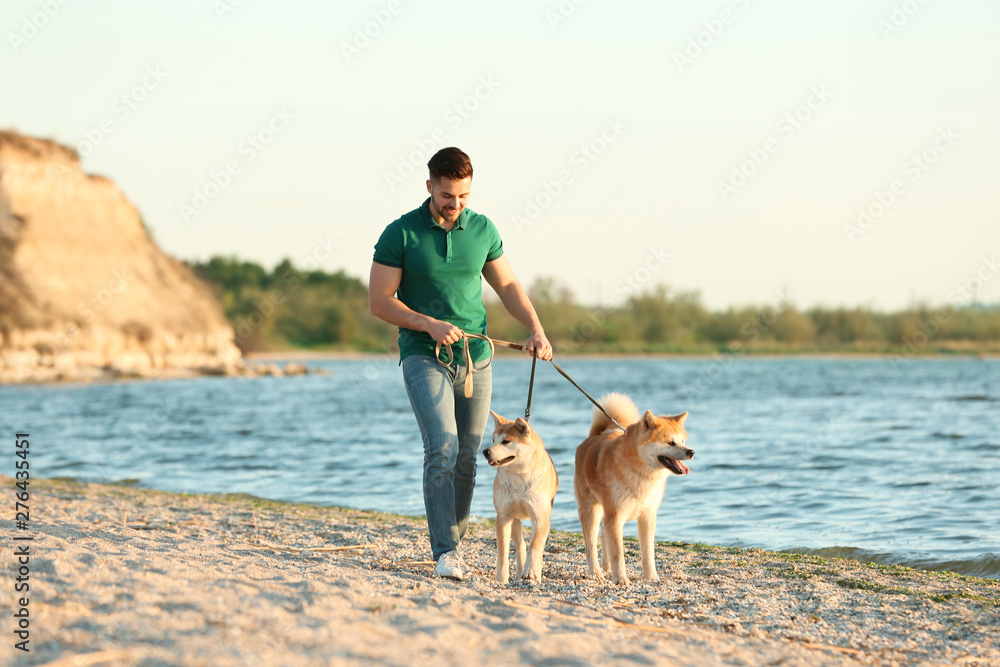 Young man walking his adorable Akita Inu dogs near river Young man walking his adorable Akita Inu dogs near river