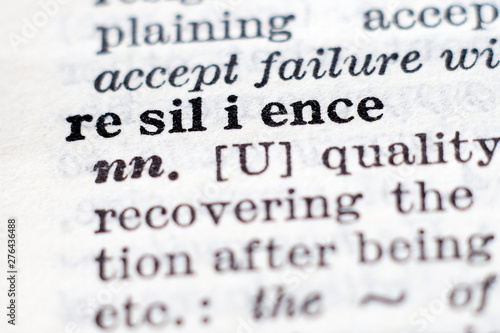 Definition of word Resilience