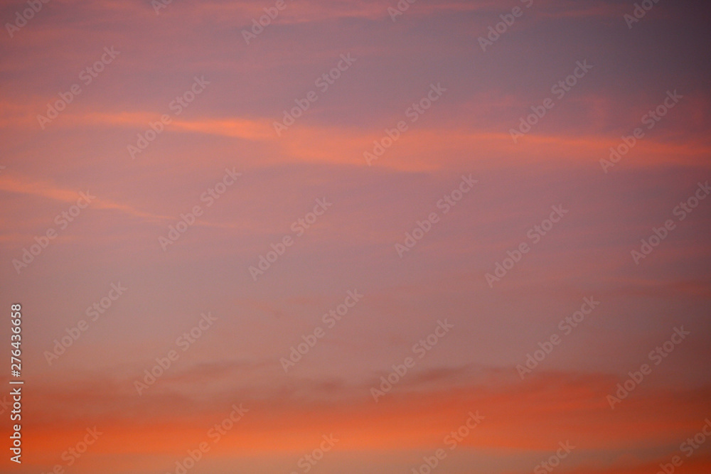 Fototapeta premium sub tropical skies background