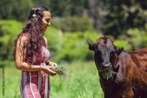 Mixed race young woman feeds cows on a farm