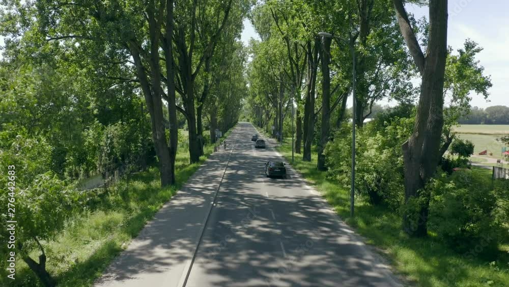 Aerial view. The route passes through the countryside in the length of fields and forests. Highway between the trees in the green tunnel, cars ride between the trees in the countryside. Drone Shot 4K Aerial view. The route passes through the countryside in the length of fields and forests. Highway between the trees in the green tunnel, cars ride between the trees in the countryside. Drone Shot 4K