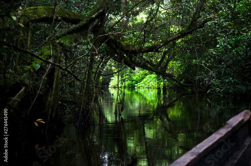 jungle water green peru river waterfall travel vacations trip