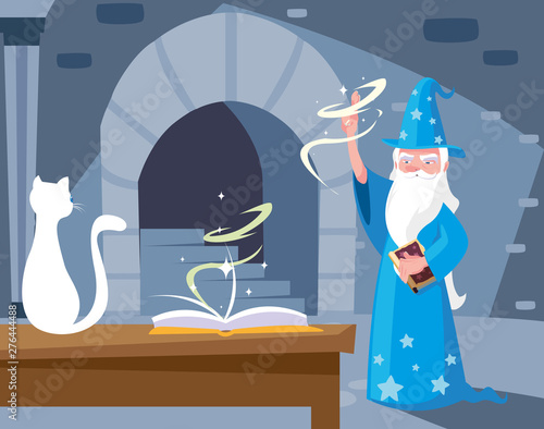 wizard lair scene with cat white