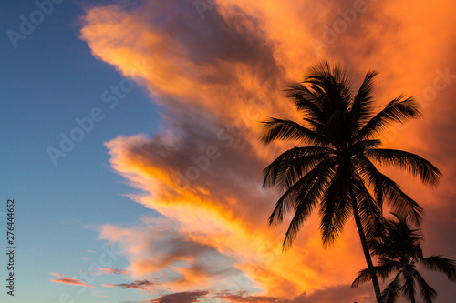 Fototapeta Naklejka Na Ścianę i Meble -  Sunset clouds adn palm trees