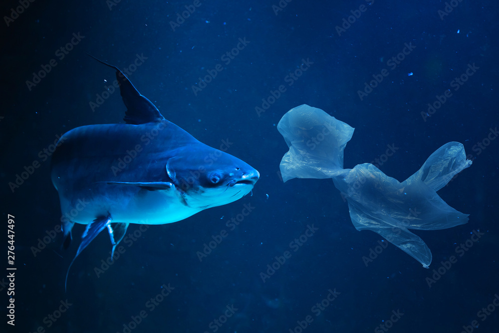 Fototapeta premium Ban plastic pollution on sea. Plastic waste at the bottom of the ocean swims with fish