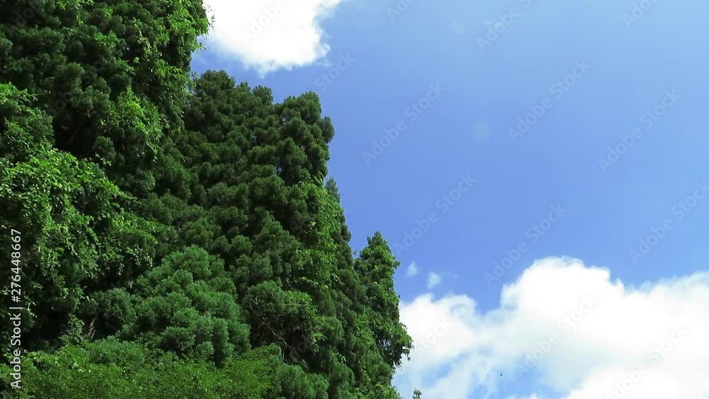 青空と雲の動き 夏 等倍速 青空と雲の動き 夏 等倍速