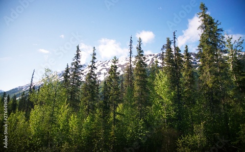 View of Alaska interior taken from the Train between Seward and Denali. Mountains, green trees, blue sky, and clouds. 