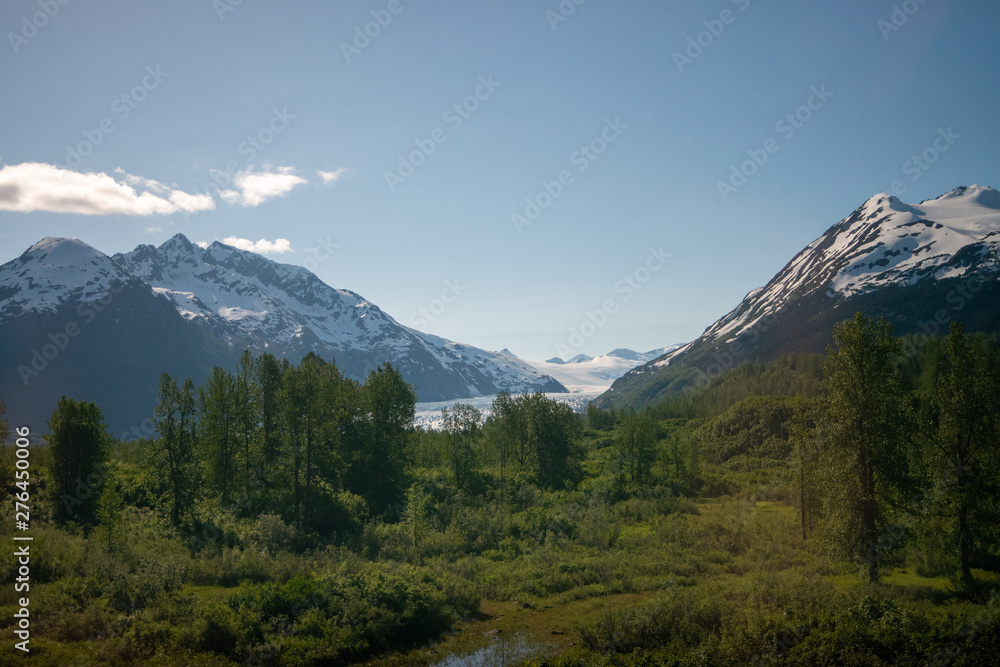 Alaska interior landscape from train: trees, mountains, snow, and sunshine.