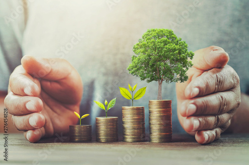businessman protection money on table with tree. concept saving photo