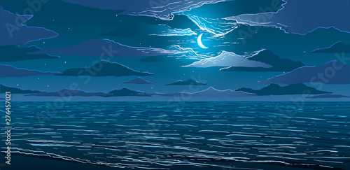 vector calm ocean shore at night
