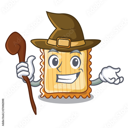 Witch lasagne is cooked in mascot oven