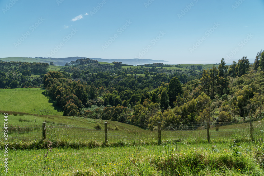 Die Landschaft am Cape Otway in Victoria Austrlaien an der Great Ocean Road in sattem grün