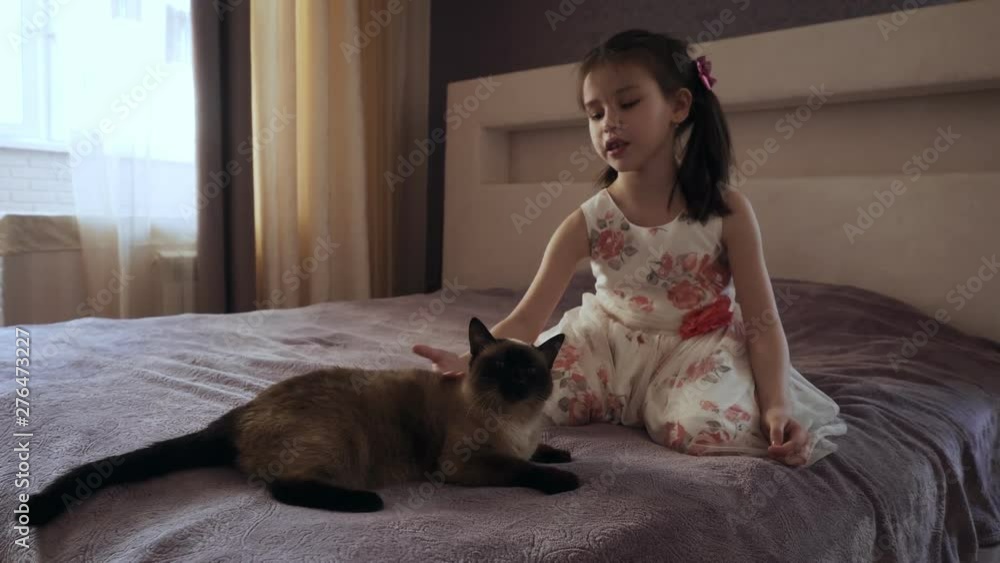 Little girl in dress stroking cat sitting on the bed. Little girl in dress stroking cat sitting on the bed.