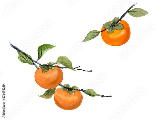 柿 イラストセット Ilustracion De Stock Adobe Stock