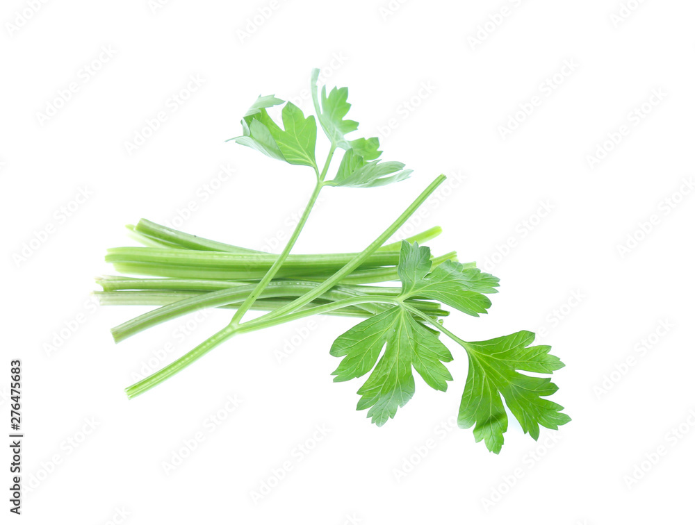 Parsley herb isolated on white background Parsley herb isolated on white background