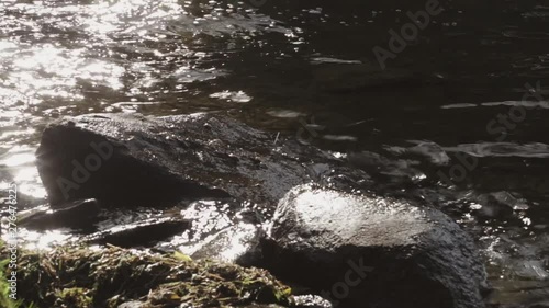 Wallpaper Mural Waving gently crashing against rocks during golden hour. Torontodigital.ca
