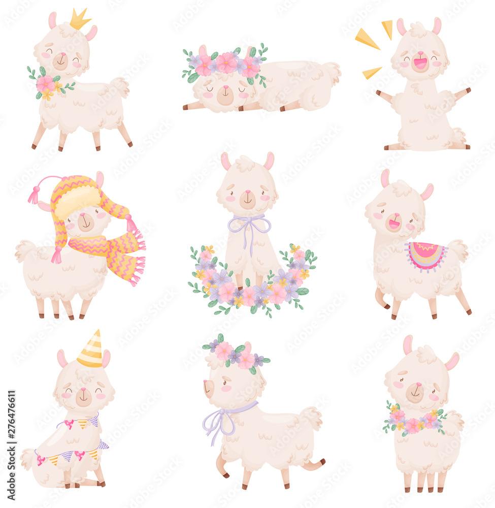 Set of cartoon pink llamas. Vector illustration on white background.