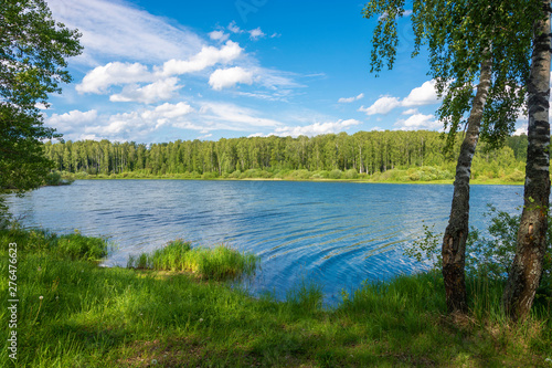 Fototapeta Naklejka Na Ścianę i Meble -  The marshy coast of a small river and birch in the foreground.
