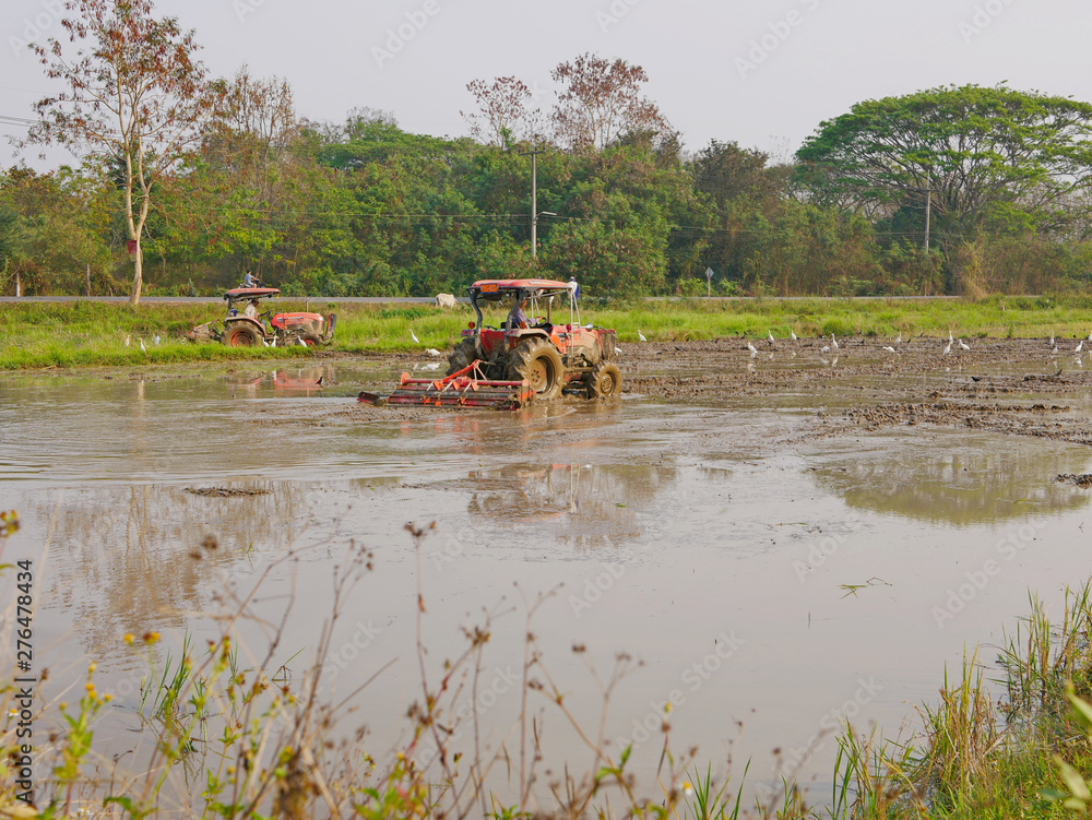 Fototapeta premium Ploughing paddy fields using tractors in the hot afternoon in a rural area in the North of Thailand