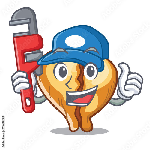 Plumber tortellini in the a character bowl