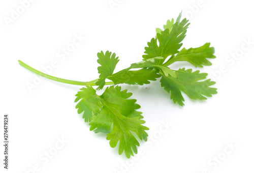 Bild auf Leinwand fresh coriander leaves over white background