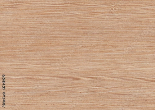Wood oak tree close up texture background. Wooden floor or table with natural pattern. Good for any interior design
