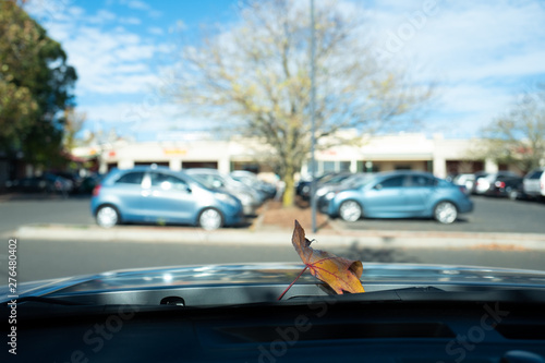 Fototapeta Naklejka Na Ścianę i Meble -  Autumn leaf on a car bonnet