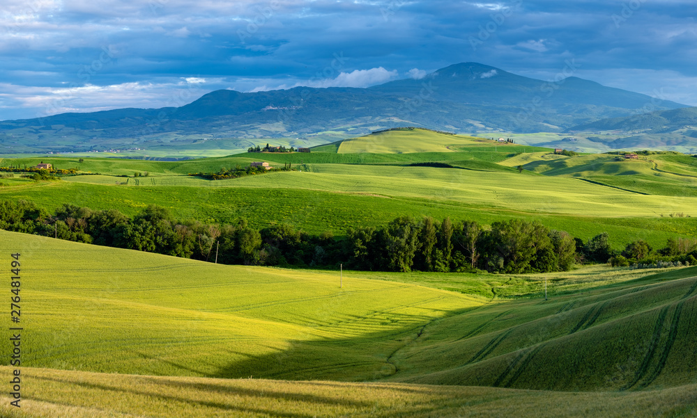 Beautifully illuminated landscape of Tuscany . green hills Beautifully illuminated landscape of Tuscany . green hills