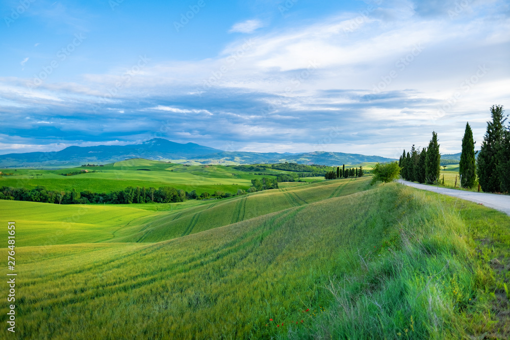 Beautifully illuminated landscape of Tuscany . green hills