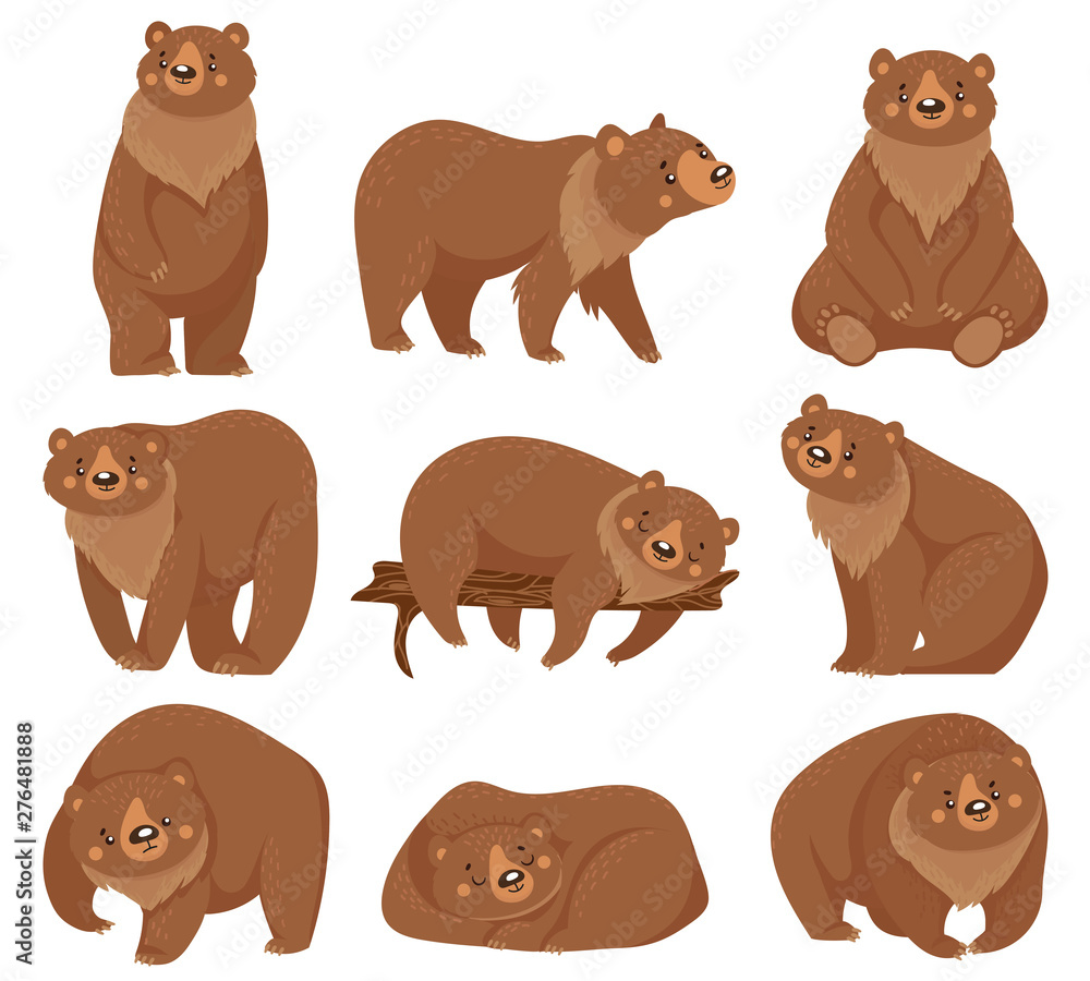 Cartoon brown bear. Grizzly bears, wild nature forest predator animals