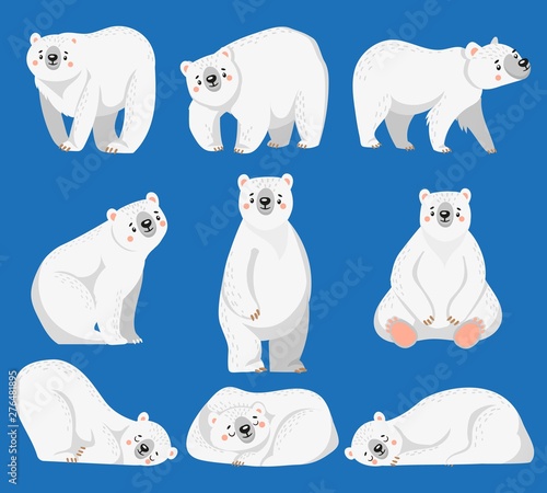 Cartoon polar bear. White bears, arctic wild animal and snow bear. Snow polar character, endangered north bears. Isolated vector illustration icons set