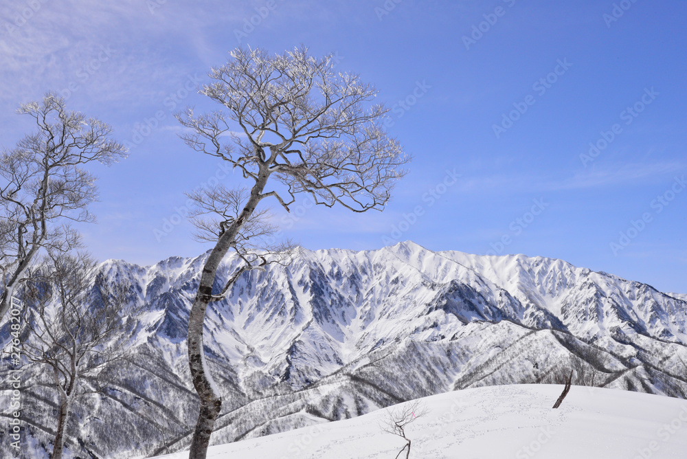 冬の荒沢岳（日本二百名山）　日向倉山から望む