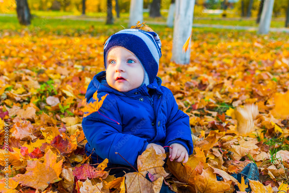 baby in autumn leaves