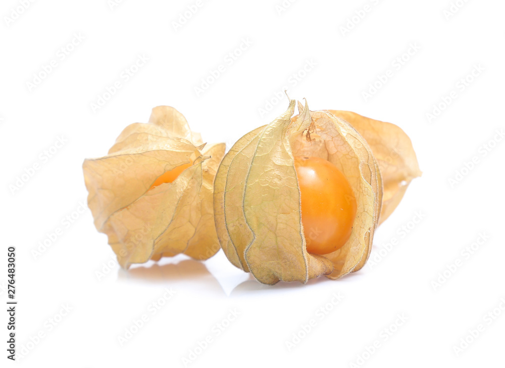 Physalis ,cape gooseberry isolated on white Physalis ,cape gooseberry isolated on white