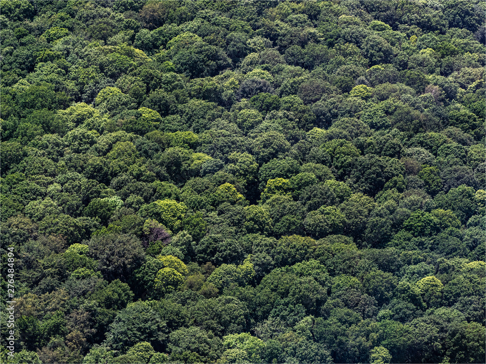 vue aérienne de la forêt à Corny dans l'Eure