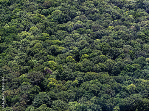 vue aérienne de la forêt à Corny dans l'Eure