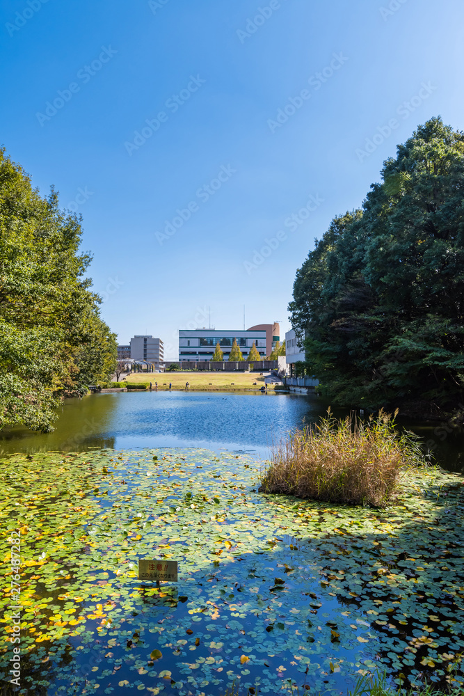Obraz premium 都筑中央公園の宮谷戸の大池